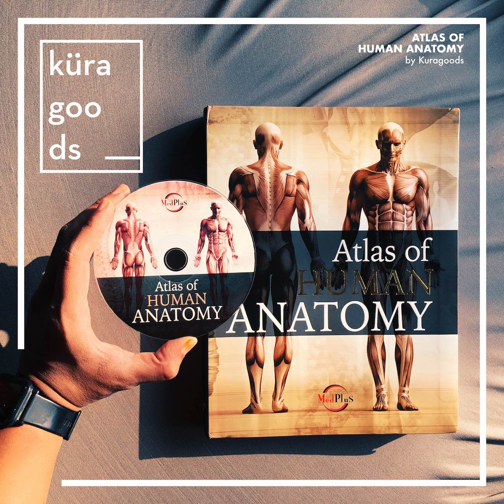 Atlas Of Human Anatomy + CD ROM - MedPlus | Buku Kedokteran Import ...