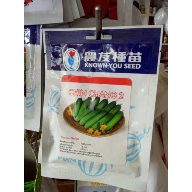 BENIH TIMUN LALAP CHIN CHANG 2