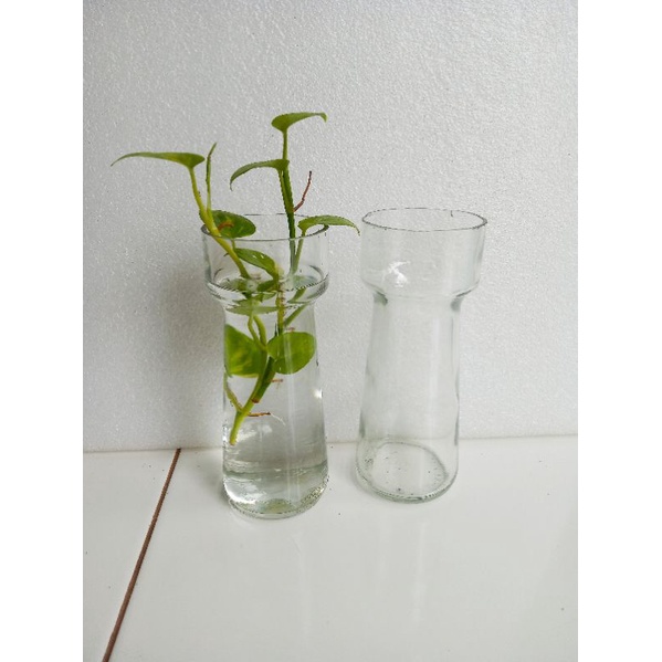 Botol vas bunga botol tabung botol kaca botol ikan cupang plus tanaman per 1pcs