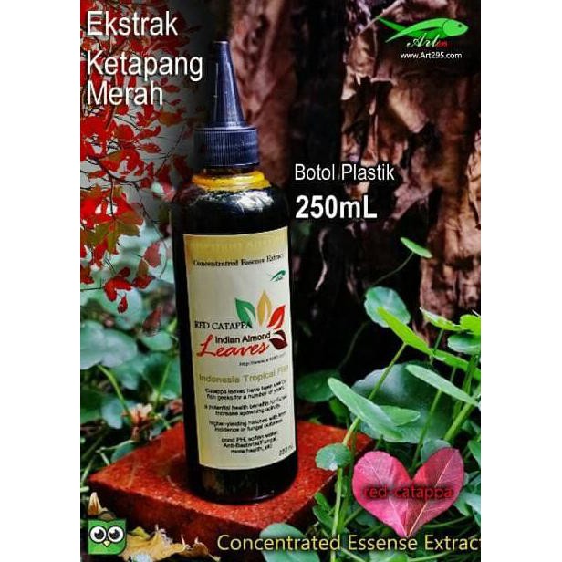 

Ekstrak Daun ketapang Merah 250mL Indian Almond Premium Quality