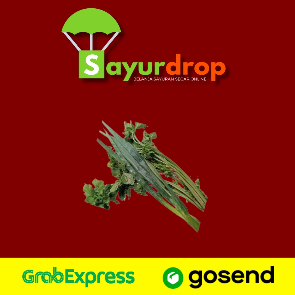 

Daun Bawang Seledri 100 Gram - Segar Murah Higienis - Instant/Same Day Delivery (Sayurdrop)
