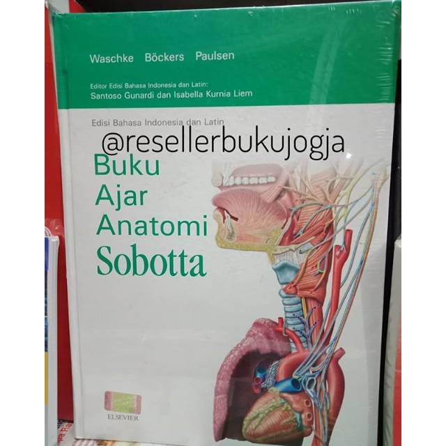 Jual Buku Elsevier ORI - Buku Ajar Anatomi Sobotta Edisi Bahasa ...