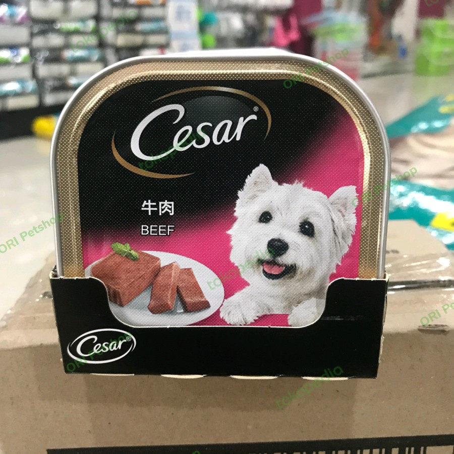 Dog Food Cesar Rasa Beef 100gr Makanan Basah Anjing