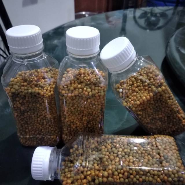 Pupuk Osmocote Thailand eceran 200 gram