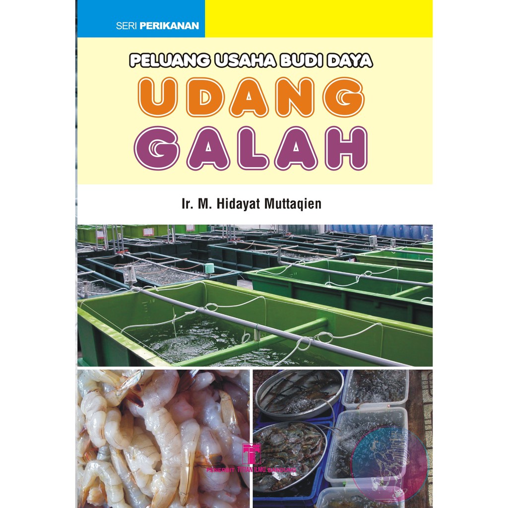 

Peluang Usaha Budidaya Udang Galah