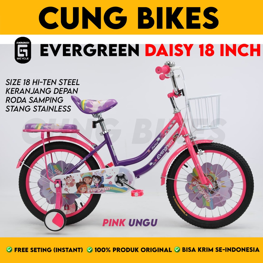SEPEDA ANAK PEREMPUAN MINI 18 Inch EVERGREEN DAISY good quality