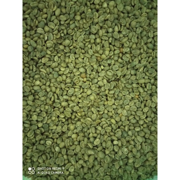 

Ijen Green Bean Arabica / Biji Kopi Mentah / Coffee Bean Grade 1 (Kemasan 1000 gr)
