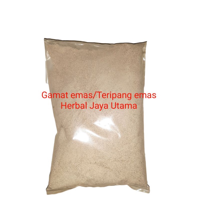 Gamat emas/Teripang emas bubuk