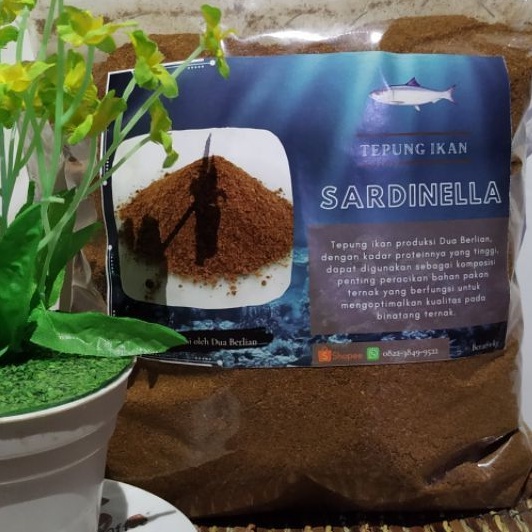 Tepung Ikan Sardin 1 kg (Pakan Ternak Berprotein)