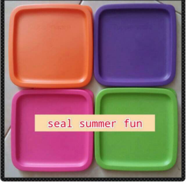 

Seal summer fun