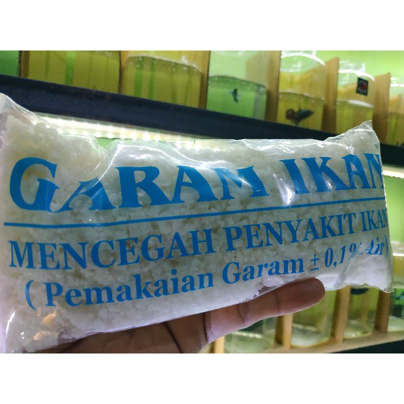 GARAM IKAN CUPANG / IKAN HIAS