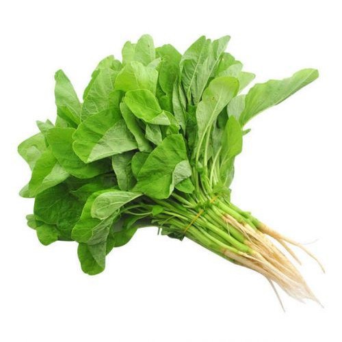 paket super hemat harga seribuan biji benih sayur selada paprika tomat bayam dll-bayam hijau 50
