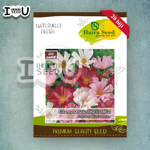 Haira Seed Bibit-BIji Bunga Cosmos Sea Shells Mix