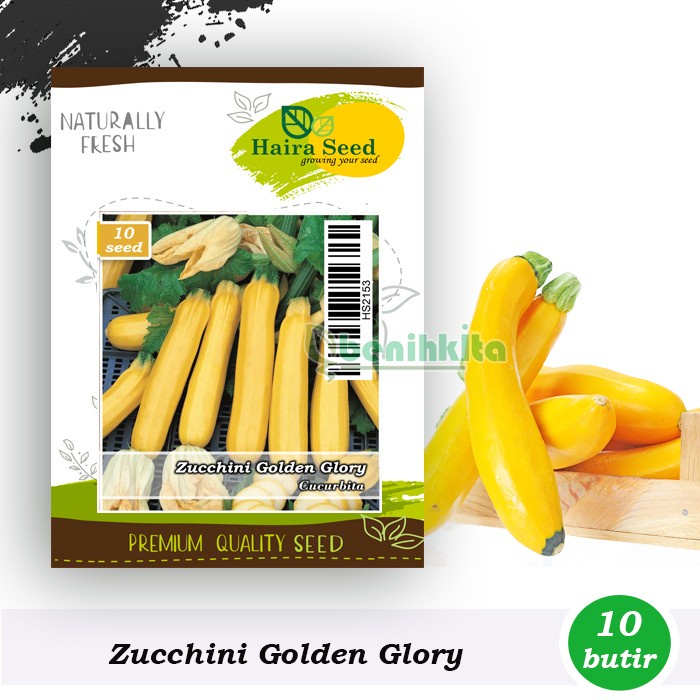 Benih-Bibit Zucchini Golden Glory (Haira Seed)