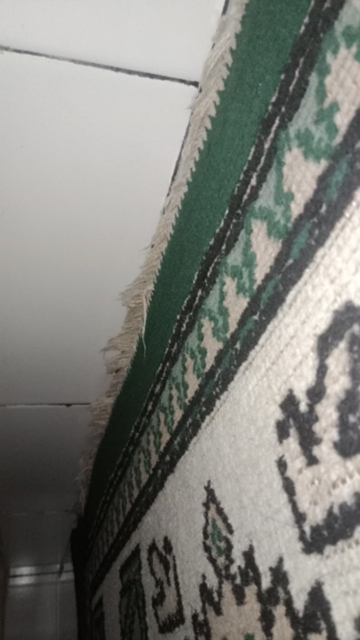 Racun Cairan Pengusir Tikus Anti Tikus Semprot Bye Rat 100ml Rat Repllent