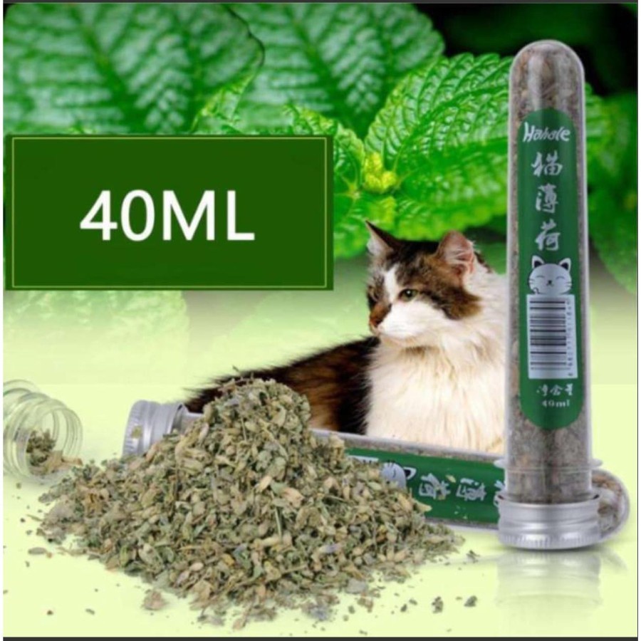 Catnip Serbuk 40ml Makanan Kucing Refill Daun Cat Nip Kering Organik