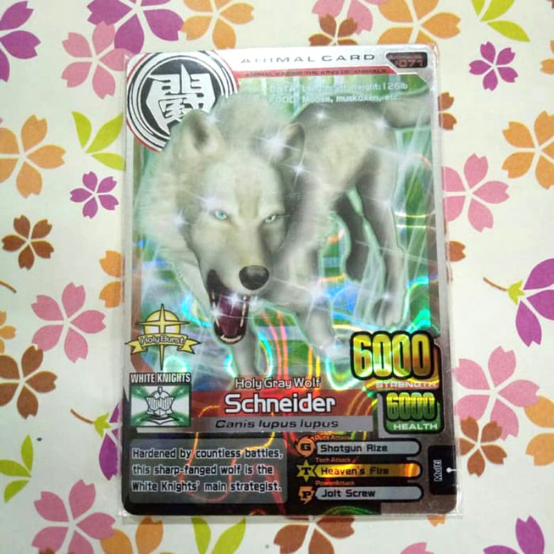 animal kaiser silver schneider evo 8