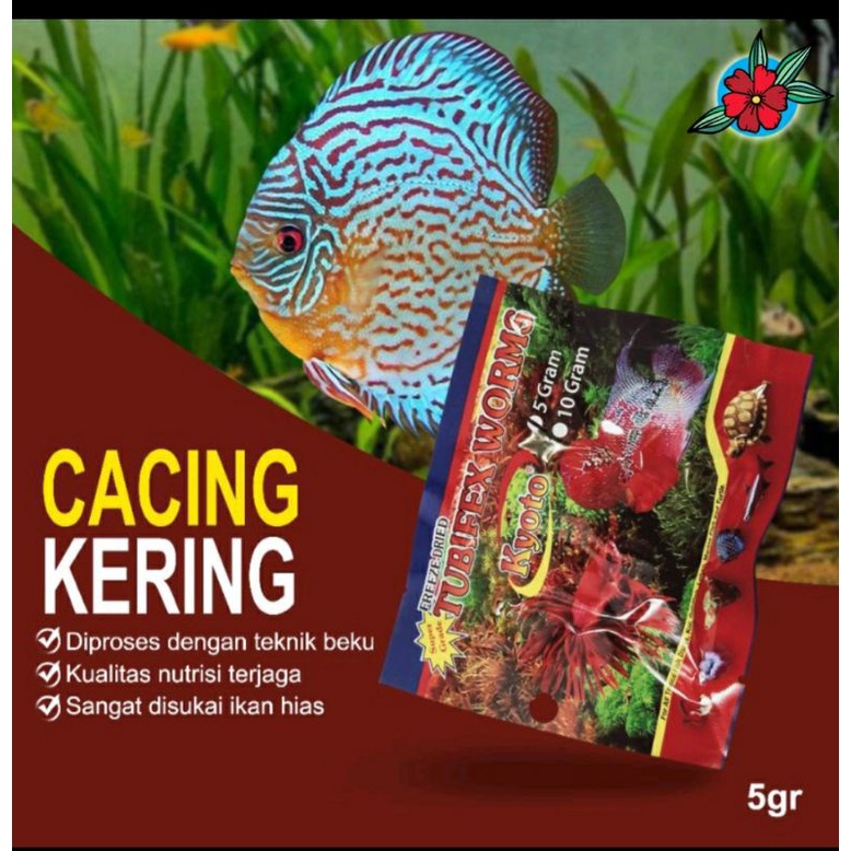 Tubifex worm - cacing kering TUBIFEX pakan instan 5 gram
