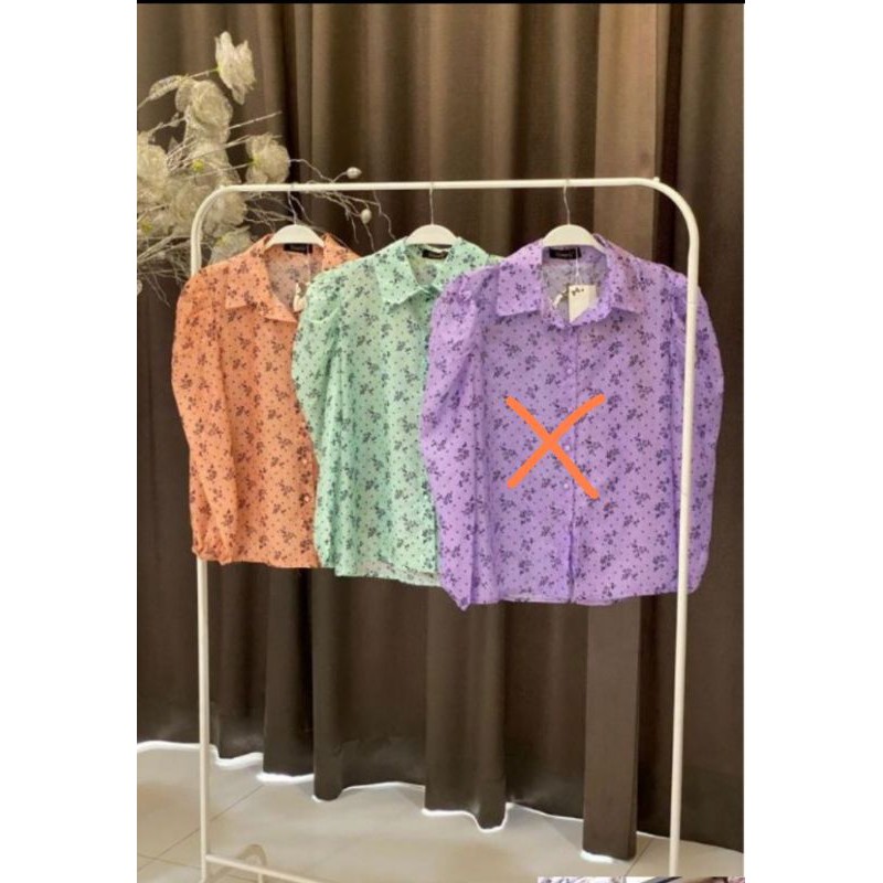 ATASAN QAMILA (vivorie)