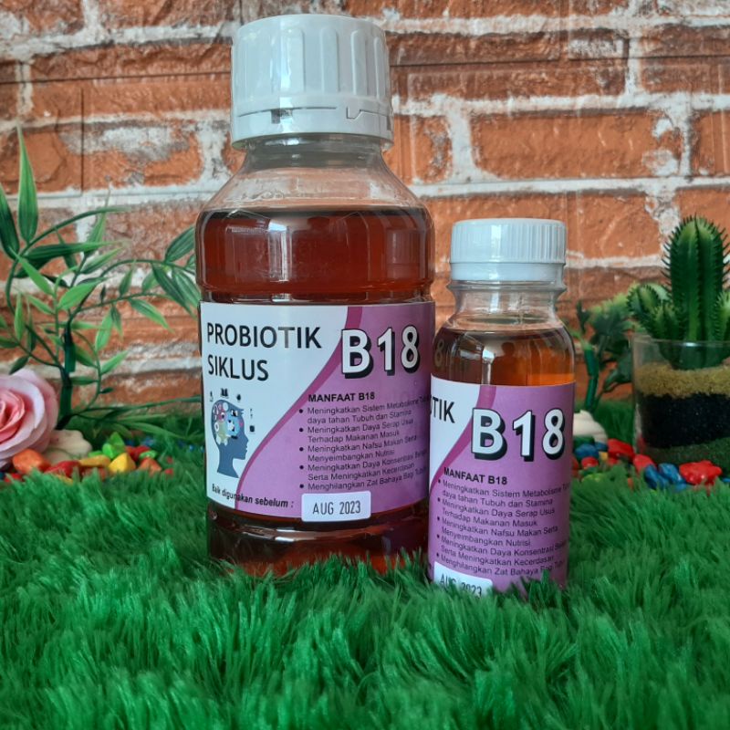 Probiotik Siklus B18 500ml