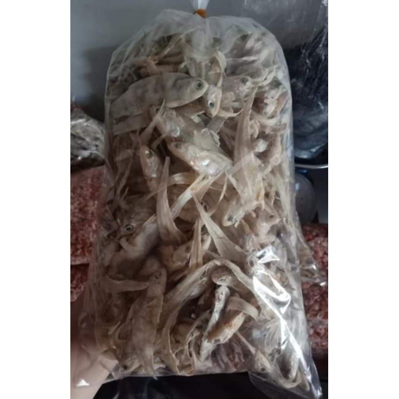 

Ikan bilis air tawar 500 g