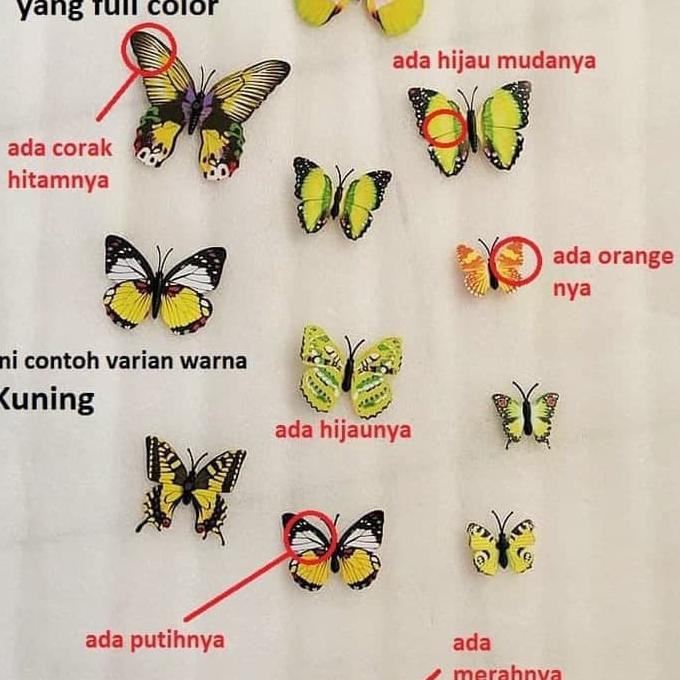 Nafi Furniture Wallsticker 3d Kupu Kupu Cantik Shopee Indonesia