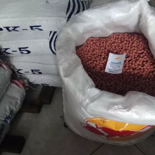 Pakan Makanan Koi PK 5 mm Merah PK5 10kg 10 kg Pelet Pellet Ikan Hias