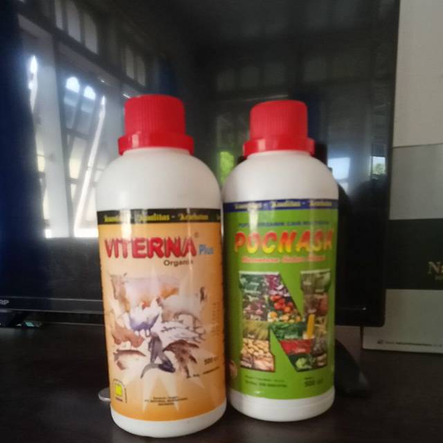 

Paket puyuh