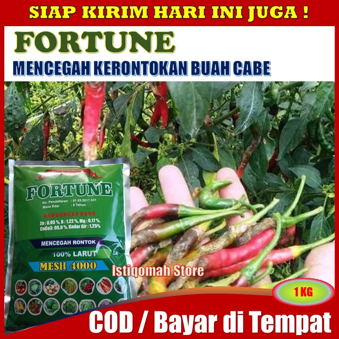 Pupuk Kalsium FORTUNE 1 KG Pupuk Pencegah Rontok Buah Cabe Cabai Ampuh - Obat Pencegah Rontok Buah C