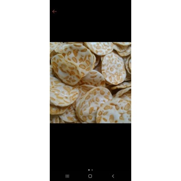 

kripik tempe sagu