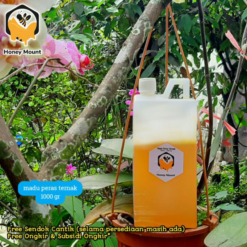 

Madu peras ternak 1 kg