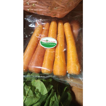 

Wortel Import Organic
