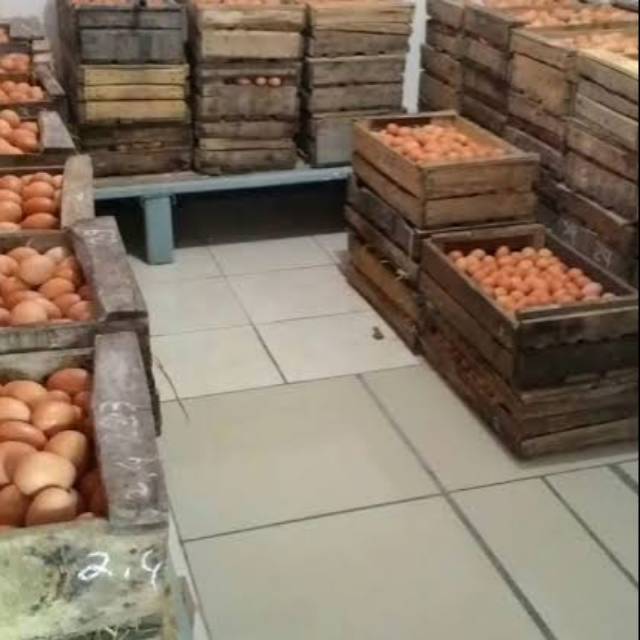 

Telur Ayam Negeri per Peti ( Isi 15 kg )