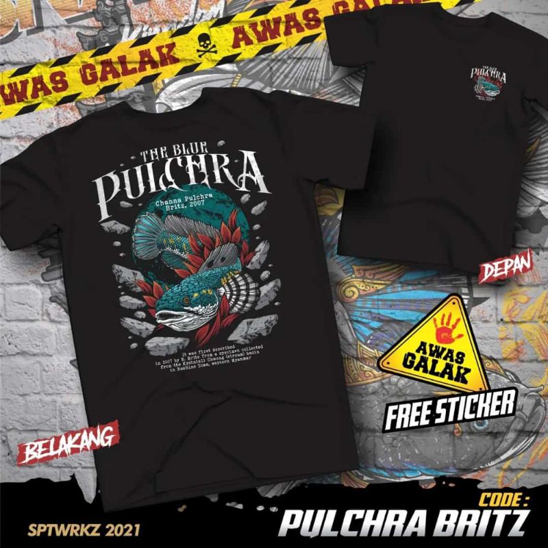 KAOS CHANNA PULCHRA BRITZ