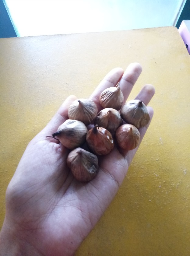 Black Garlic 150gr Kualitas Super