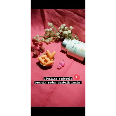 Pemutih Badan Terbaik Dunia/Vitaline Softgels Tiens