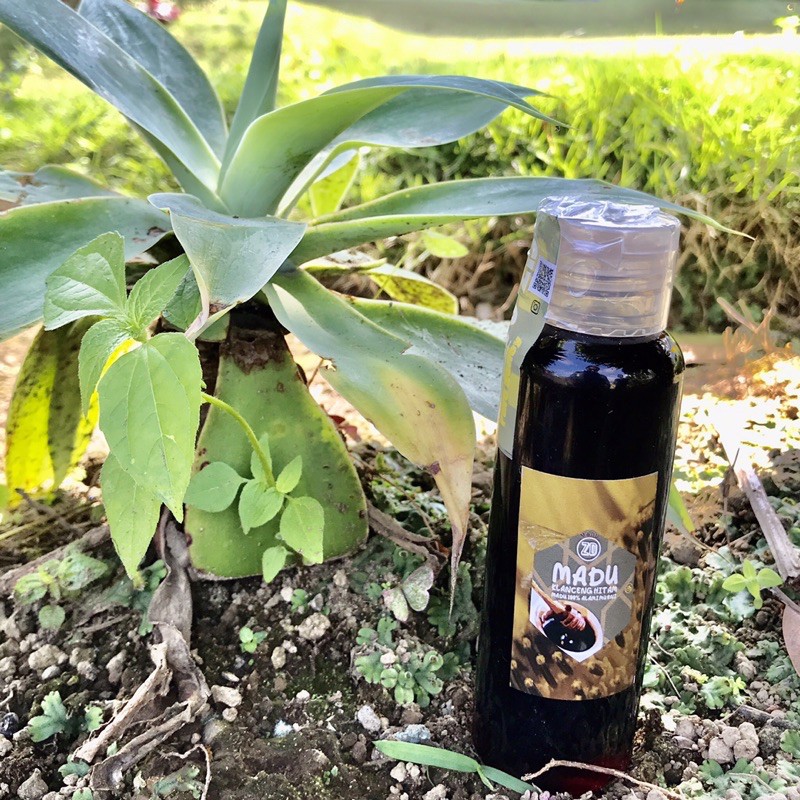 

Madu Asli Klenceng Lokal Asli Honey Herbal dan Murni Alami Original Asli Ori Promo Premium Tawon Tanpa Campuran / 1kg /Madu Asli Botol