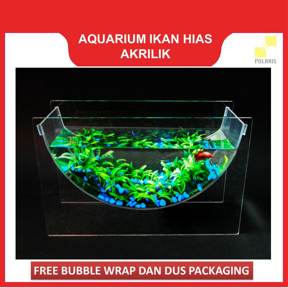 AKUARIUM IKAN CUPANG AKRILIK / AQUARIUM IKAN HIAS AKRILIK / AKUARIUM UNIK