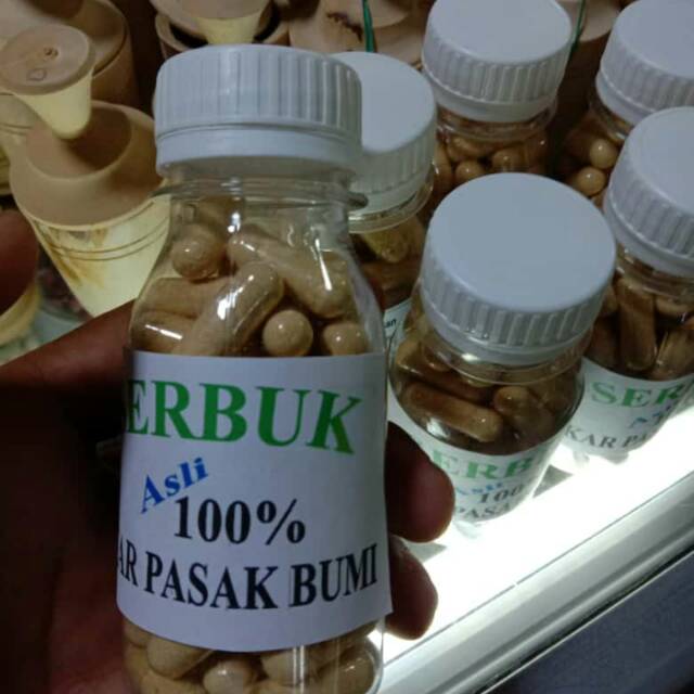 Jual Serbuk Pasak Bumi Bubuk Pasak Bumi Bubuk Tongkat Ali ASLI 100 Shopee Indonesia