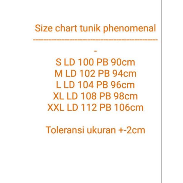 Long tunik phenomenl/bunny hop busui friendly original