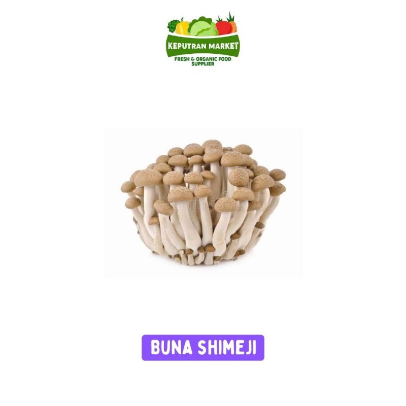 

PALING MURAH !!! Jamur Shimeji Coklat / Buna Shimeji Mushroom Per Pack / Jamur Segar