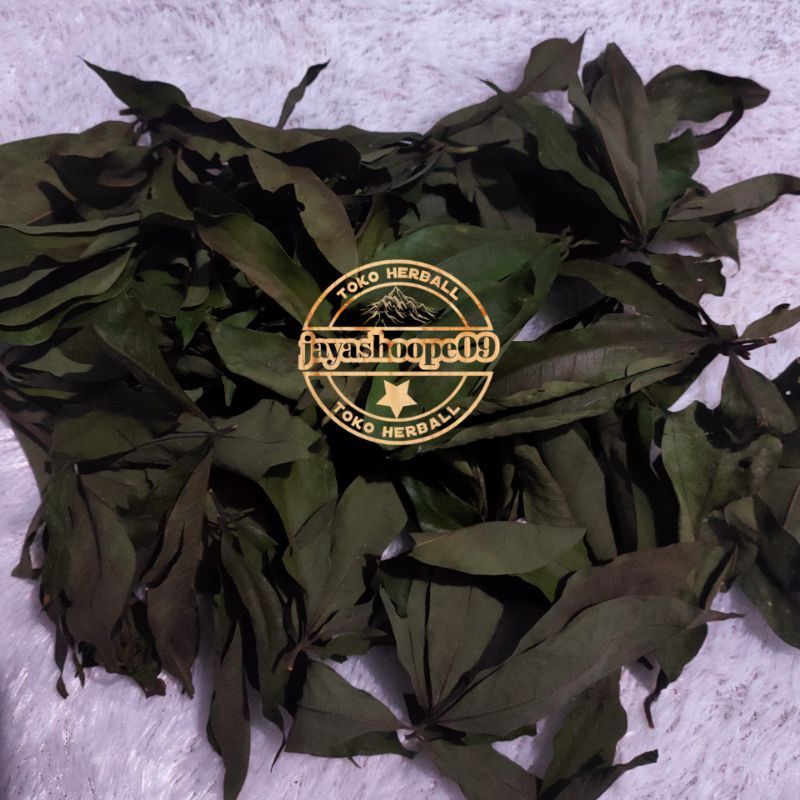 

Daun Kapuk Kring 250.gram Daun Randu