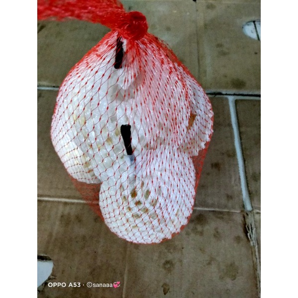 

Buah Pir/Import/Sebungkus/isi(4)