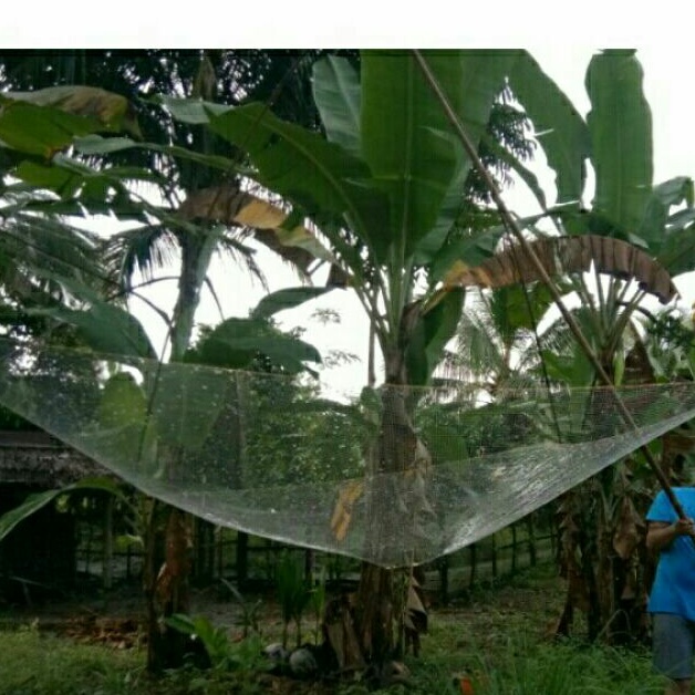 Anco tangkul hancau lobang 5/8 panjang 2x2 meter untuk udang dan ikan seluang