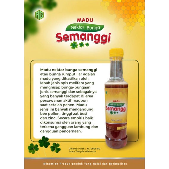 

Madu Alam Semanggi Madu kesehatan untuk menjaga imun Tubuh