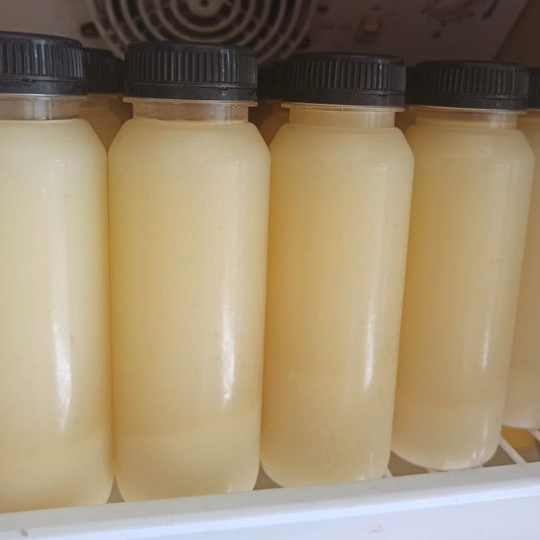 Sari Lemon California Murni 250 ml Tanpa Merk Tanpa Brand by SUUR LEMOEN ID.