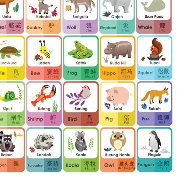Bagus Banget Flashcard Pengenalan Nama Hewan 3 Bahasa Kartu