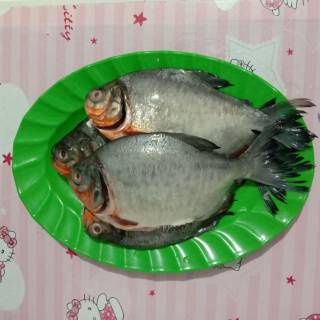 

ikan bawal 500gr