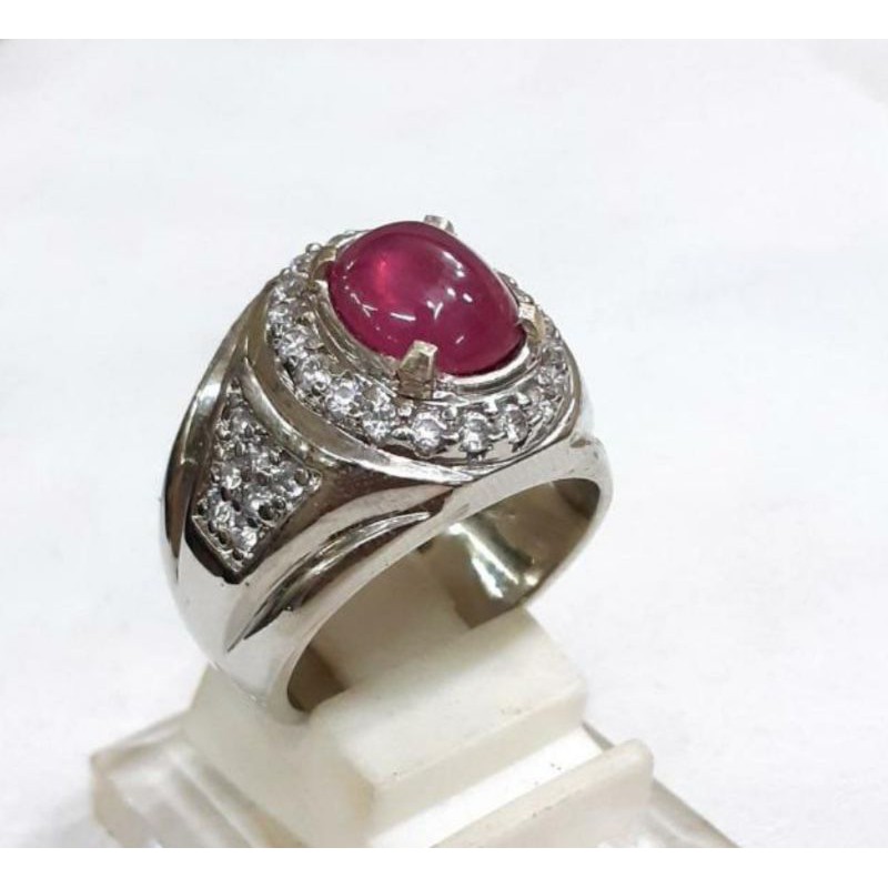 Natural ruby pigeon mewah mempesona