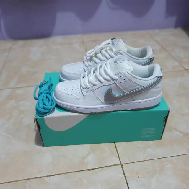 Nike SB "PERFECT KICKS"